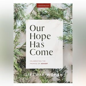 Advent study Christmas story